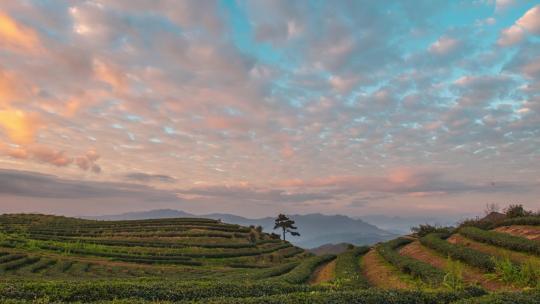 茶山日出