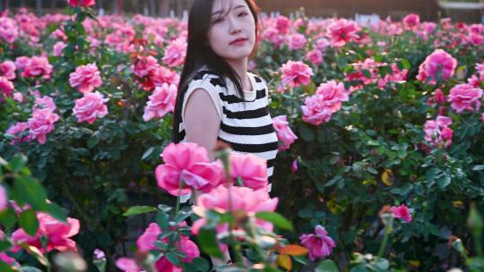 三亚博后村玫瑰花田中的游玩的中国漂亮女孩
