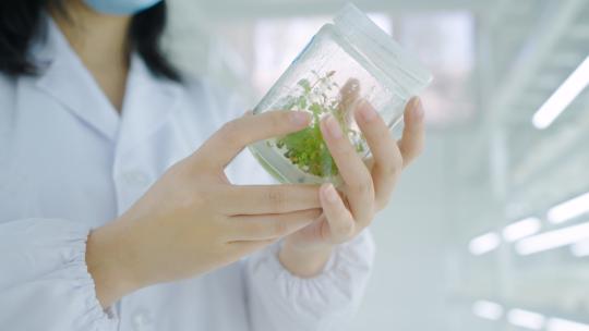 农业育苗 农业实验室 现代农业高清在线视频素材下载