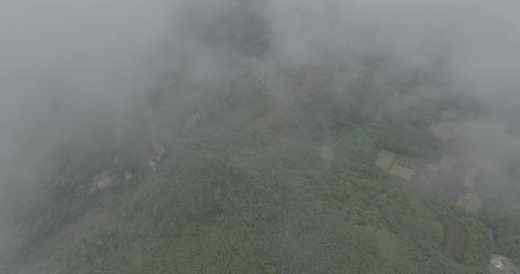 大自然森林茶园村庄云雾大山云海