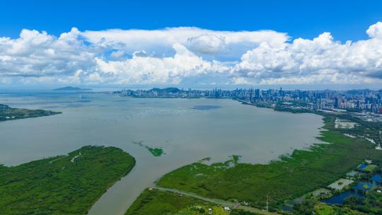 深圳红树林公园高空航拍