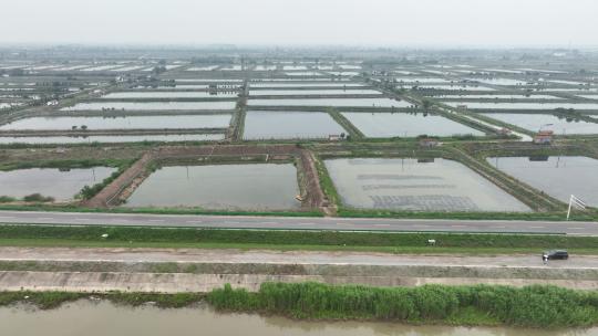 航拍武汉荆州小龙虾养殖基地