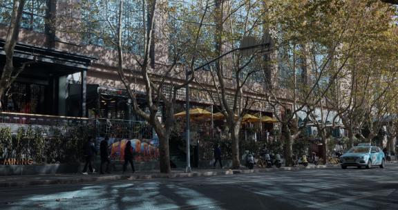 巨鹿路秋末梧桐落叶街景