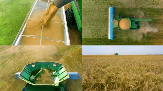 航拍麦田丰收收割麦子现代农业机械秋收视频素材模板下载