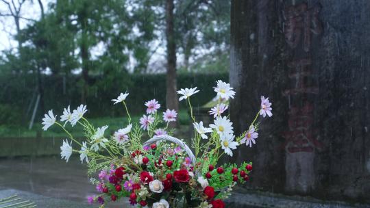 慢动作拍摄下雪天杭州岳王庙坟墓碑前的鲜花
