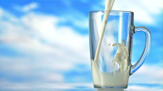 牛奶冲入 奶花 倒牛奶