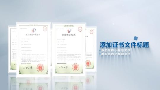 简洁专利证书文件资质图片展示