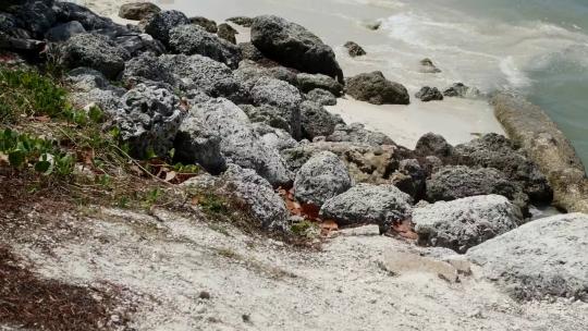 1598_多岩石的海滩，海浪到达海岸