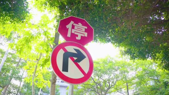 禁止停车禁止右拐视频素材模板下载