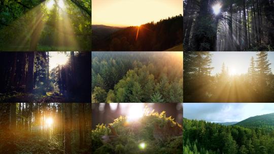 阳光穿过森林阳光穿过树林原始森林丁达尔光