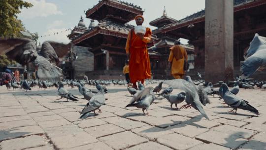 尼泊尔杜巴广场鸽子僧侣视频素材模板下载