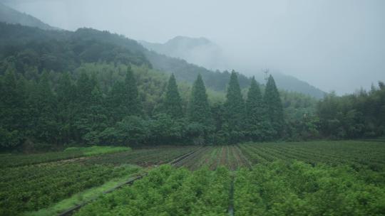 汽车窗外风景农村农田