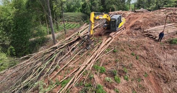 航拍森林砍伐光秃秃的山坡