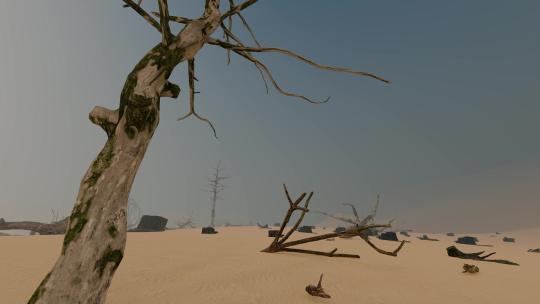 沙尘暴过后的干旱贫瘠沙漠