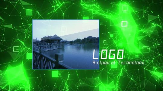 生物科技线条互联网连线特效AE工程4K