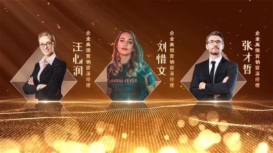 金色颁奖人物团队展示