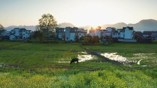 安徽歙县徽派村落建筑马头墙晨曦云雾航拍