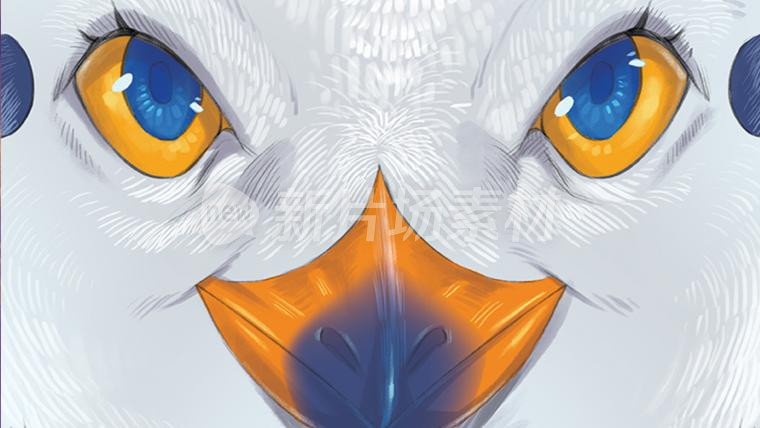 红嘴鸥手绘插画