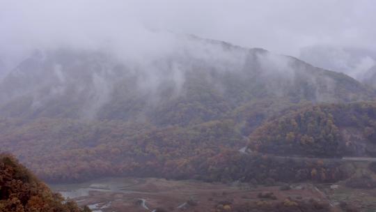 湖北神农架大九湖景区的阴雨秋天视频素材模板下载