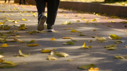 脚步踏过落叶高清在线视频素材下载