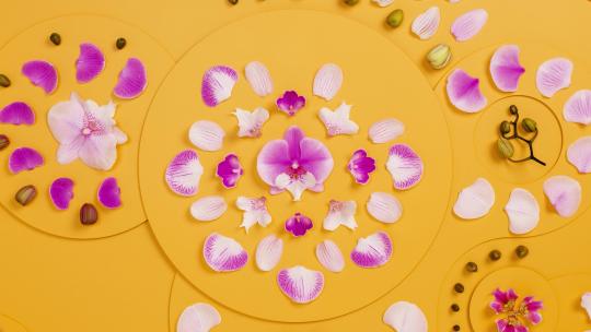 花朵花瓣定格动画花海鲜花创意短视频
