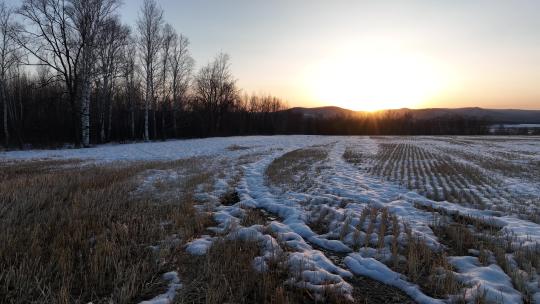 早春冰消雪融的垦区农田
