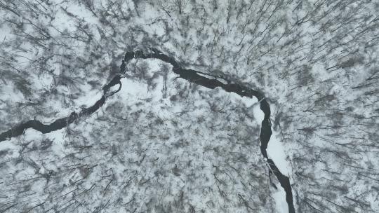 吉林东北虎豹国家公园老雪原森林航拍