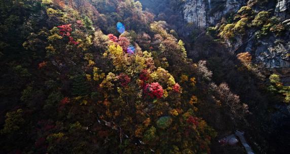 陕西秦岭太平森林公园秋景