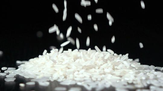 米大米农业水稻稻田米饭粮食稻谷米粒米广告视频素材模板下载