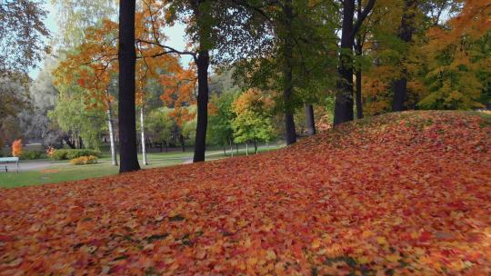 秋天公园的美丽景色