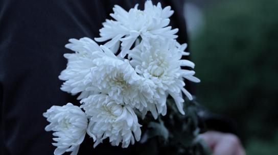 清明节 下雨 白菊花 鲜花 祭奠 追思