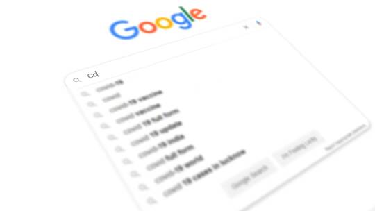 使用谷歌在搜索框搜索信息