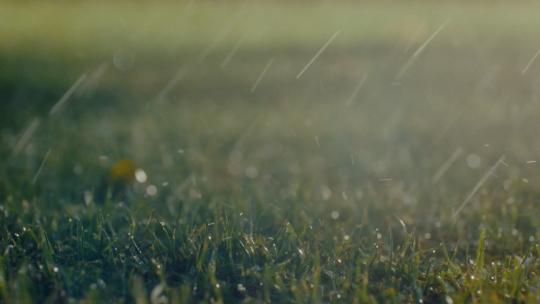 雨水滴滴水大自然水滴树叶下雨滴草坪雨天