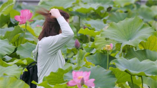 镜头跟随女孩漫步莲花园 ，拍摄自拍之旅
