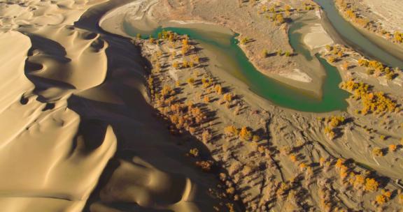 新疆沙漠 河流 胡杨林