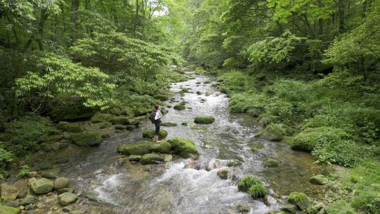 森林溪流-自然生态-山青水秀