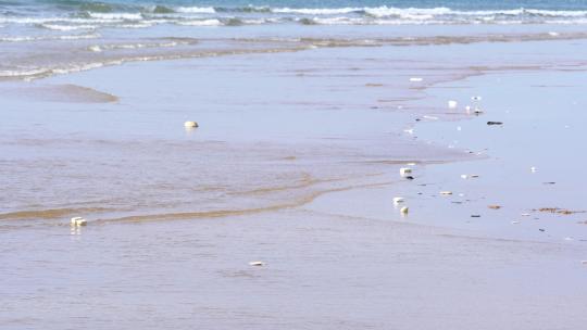 海滩和水域的塑料污染。视频素材模板下载