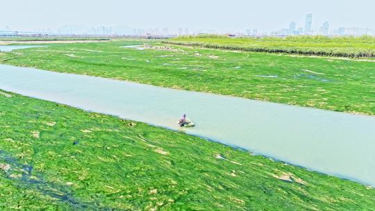 4K航拍厦门翔安下谭尾湿地公园