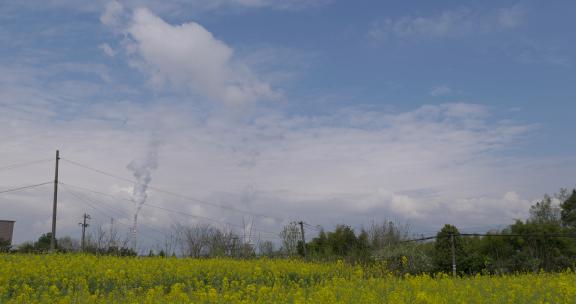 田野上的油菜花 烟囱  美丽乡村