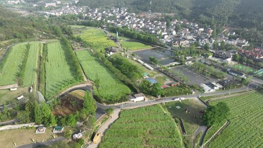 绿水青山就是金山银山浙江安吉余村