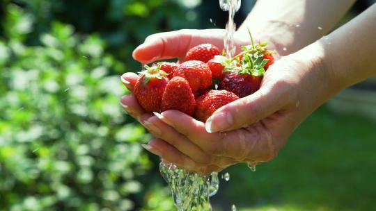 手洗草莓