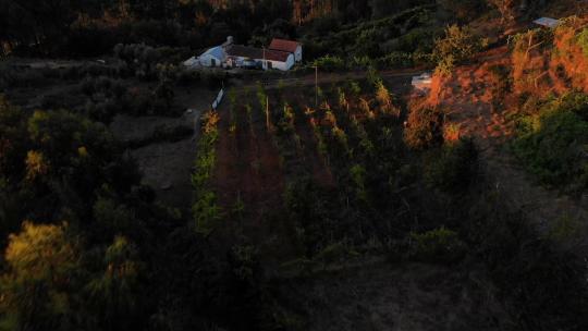 葡萄牙乡村的日落。