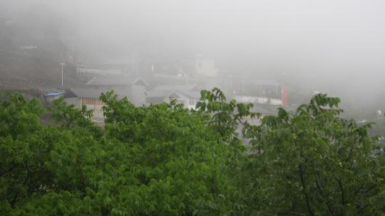 云雾缭绕树木树林森林村庄村寨云层