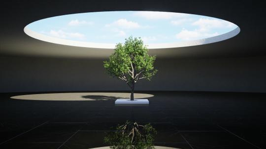 概念 房地产 绿树