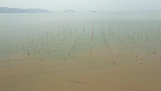 航拍浙江台州玉环市海滨风景