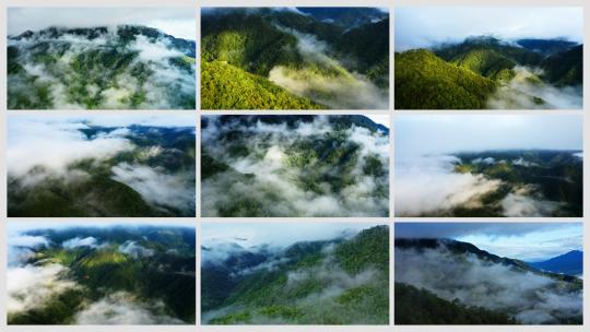【合集】雨后阳光打在云雾缭绕的高山森林上高清在线视频素材下载