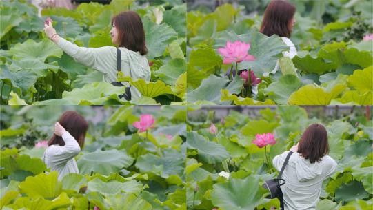 镜头跟随女孩漫步莲花园 ，拍摄自拍之旅高清在线视频素材下载