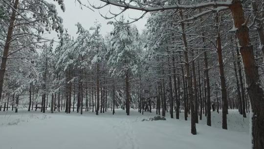 H大兴安岭塔河大疆街头雪景