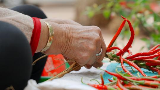 农忙时节农村忙着穿红辣椒的农民老奶奶特写