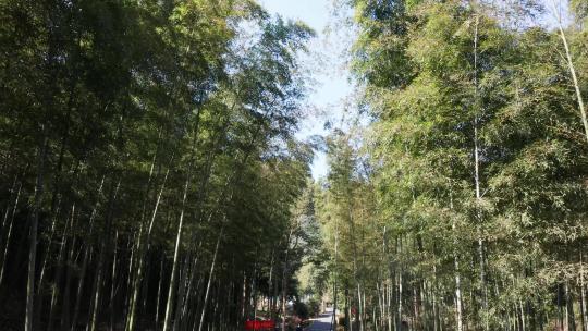 杭州西山森林公园航拍